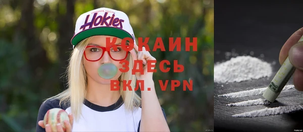 гашик Костерёво