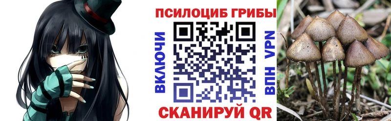 сколько стоит  Старый Крым  Галлюциногенные грибы Cubensis 